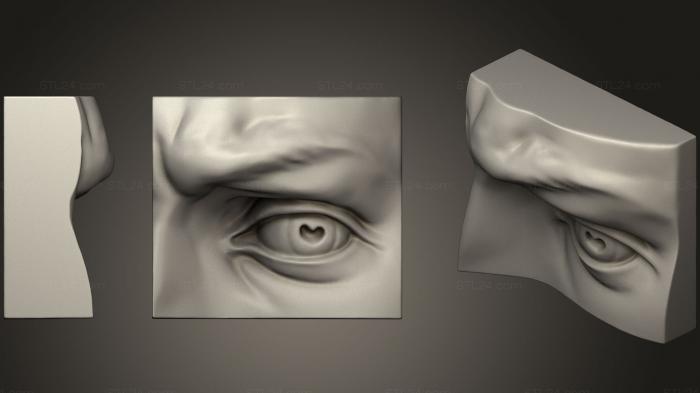 Анатомия скелеты и черепа (Глаз Микеланджело, ANTM_0900) 3D модель для ЧПУ станка